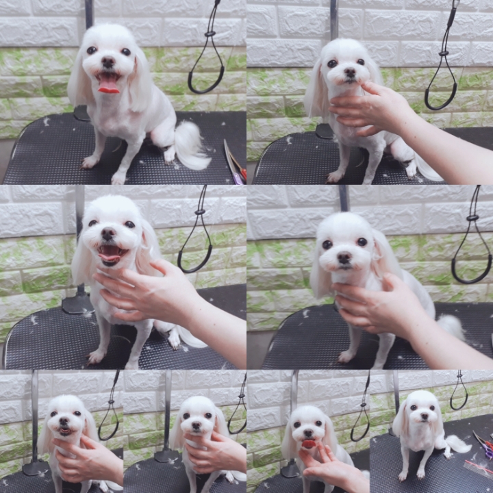 단비 이미지
