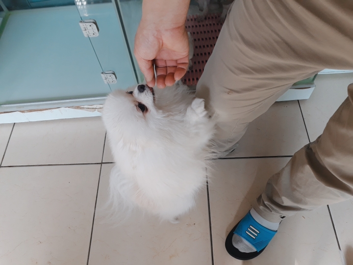 호텔루이 이미지