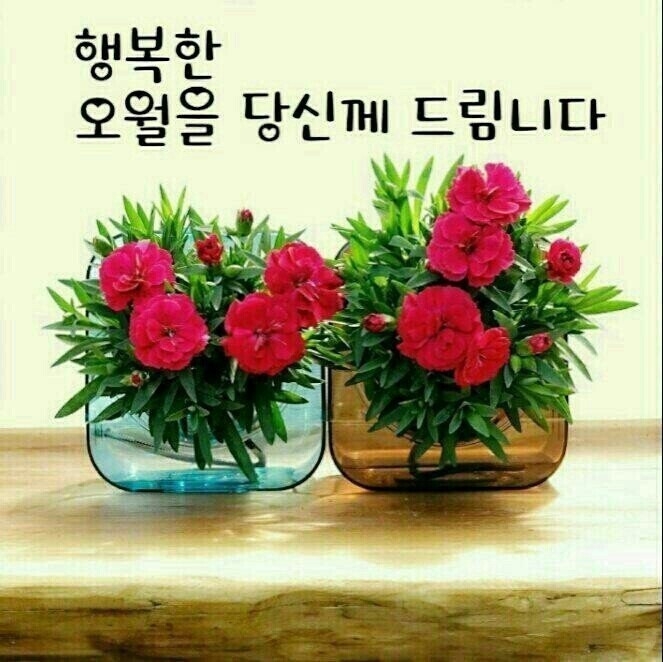 장*윤 이미지