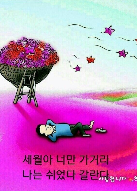 이*선 이미지
