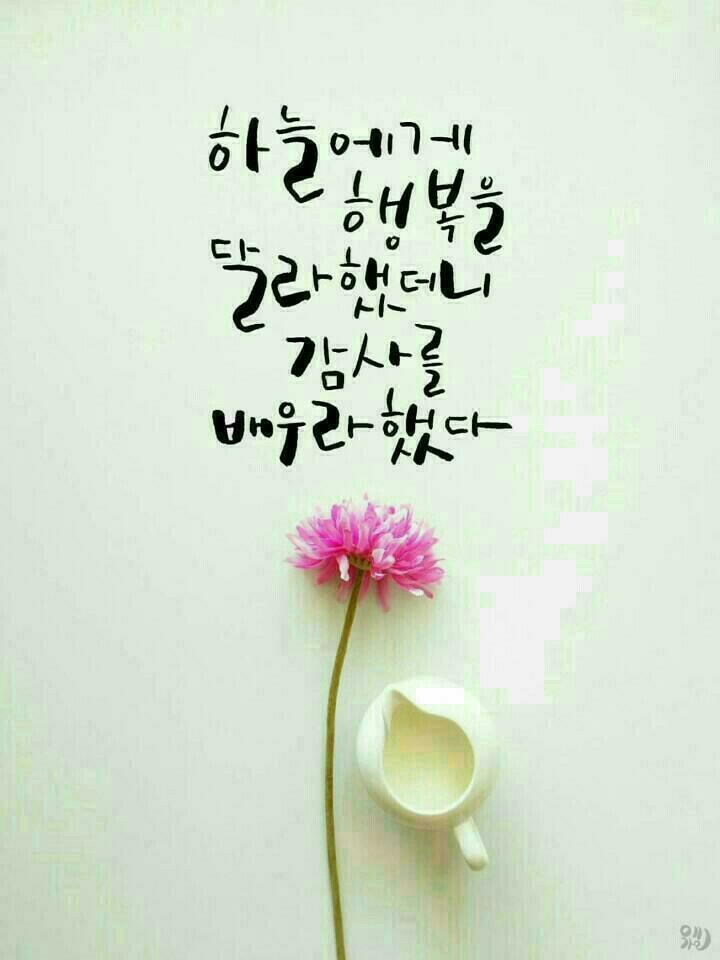 전*영 이미지