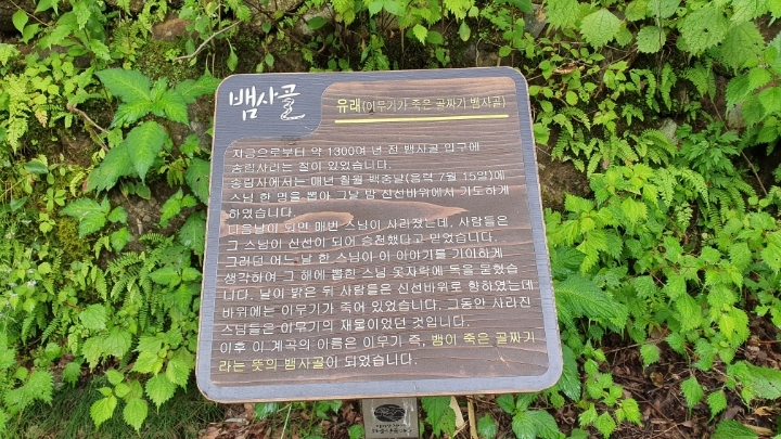 천년송가는길 이미지