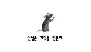신념 이미지