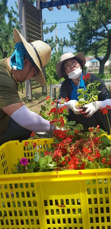 안도 이미지