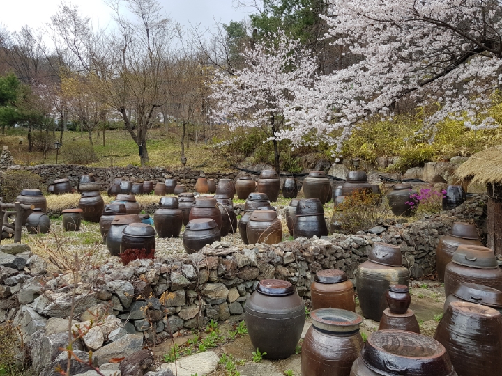당고개역국시집 이미지