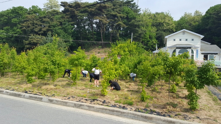 (주)코람데오 이미지