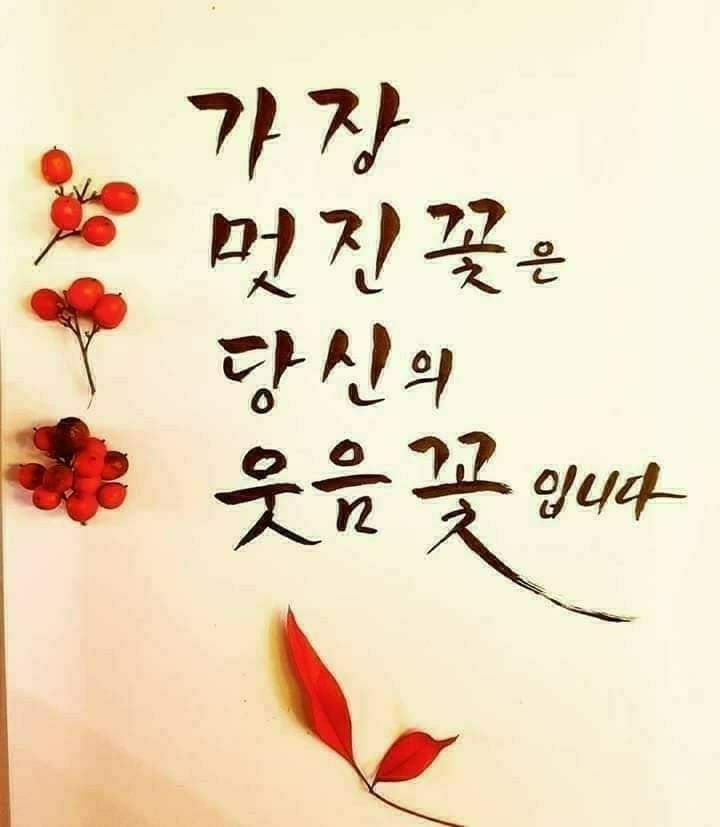 세상살이 이미지
