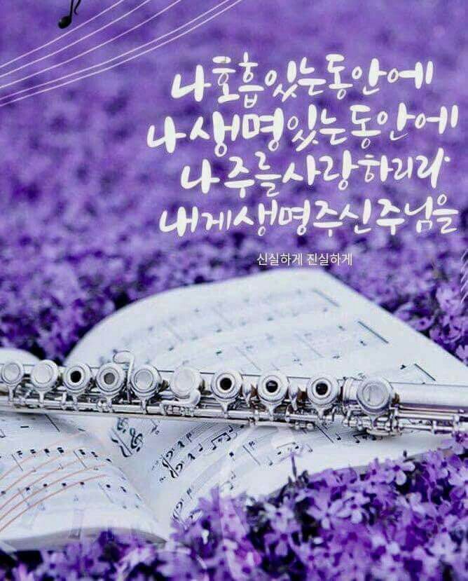 닛시 이미지