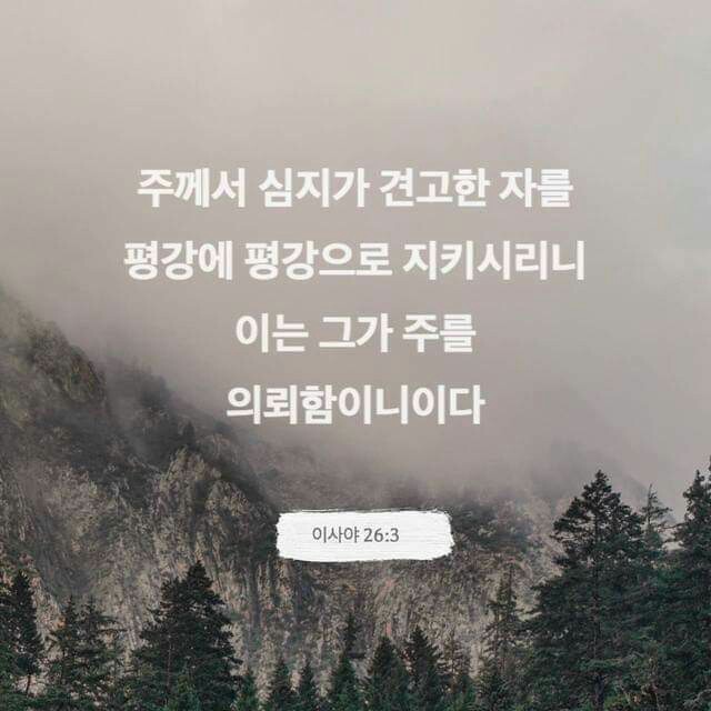 영&성 이미지
