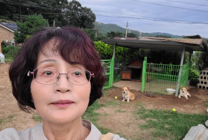 콩이네 이미지