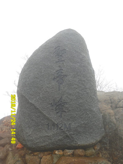 청죽 이미지