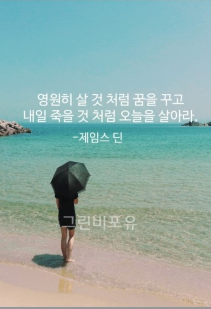 짱다방 이미지