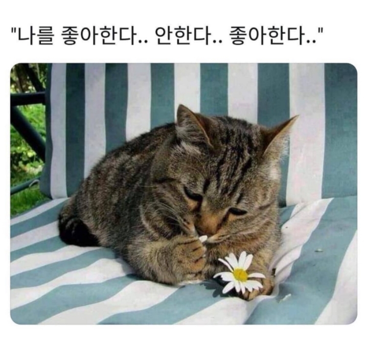 마시쩡 이미지
