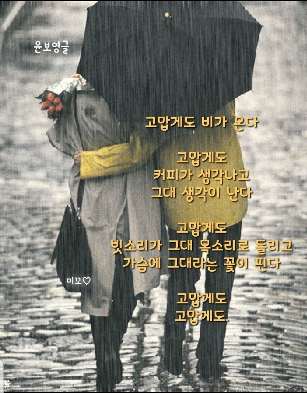 행운18 이미지