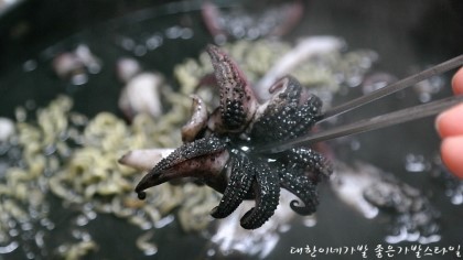 목금 이미지