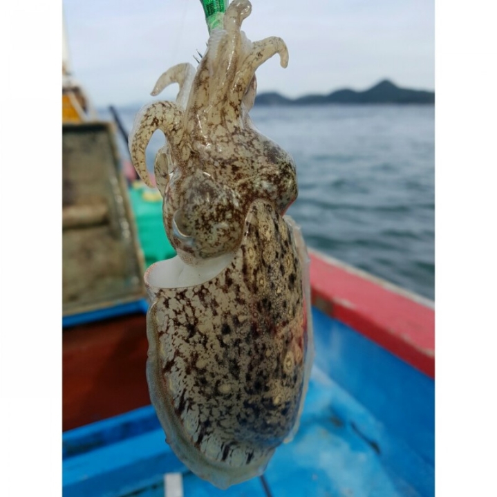 목금 이미지