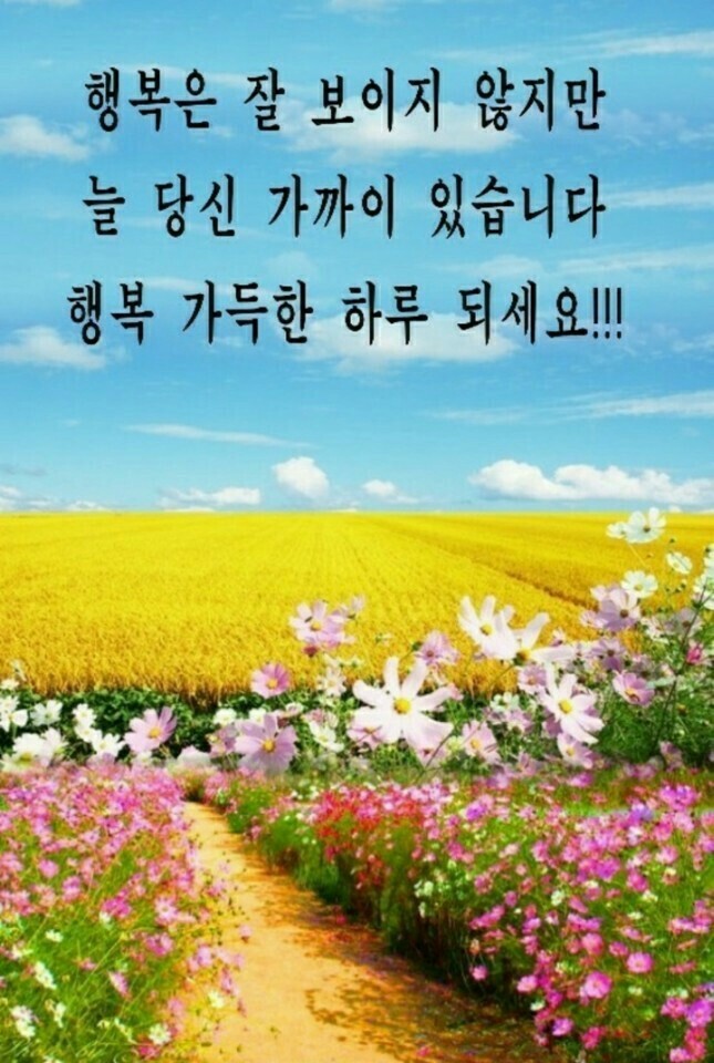 해야달아 이미지