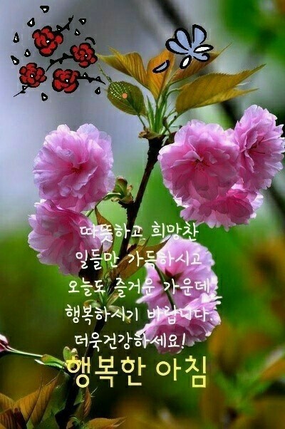 행복한 아침 이미지