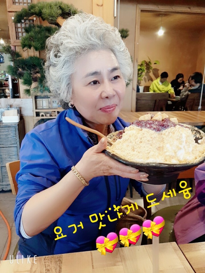방랑객 이미지