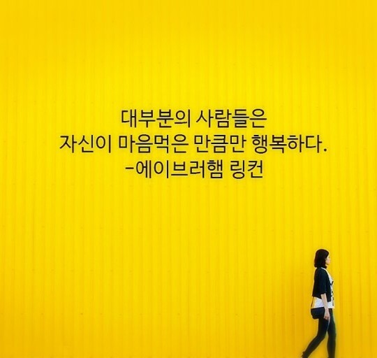 삼월의토끼 이미지