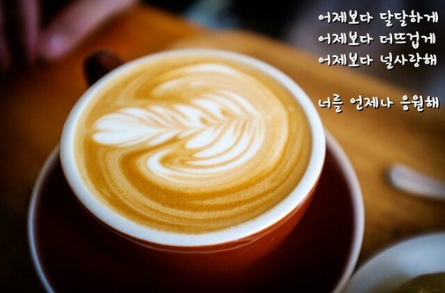 DD커피 이미지