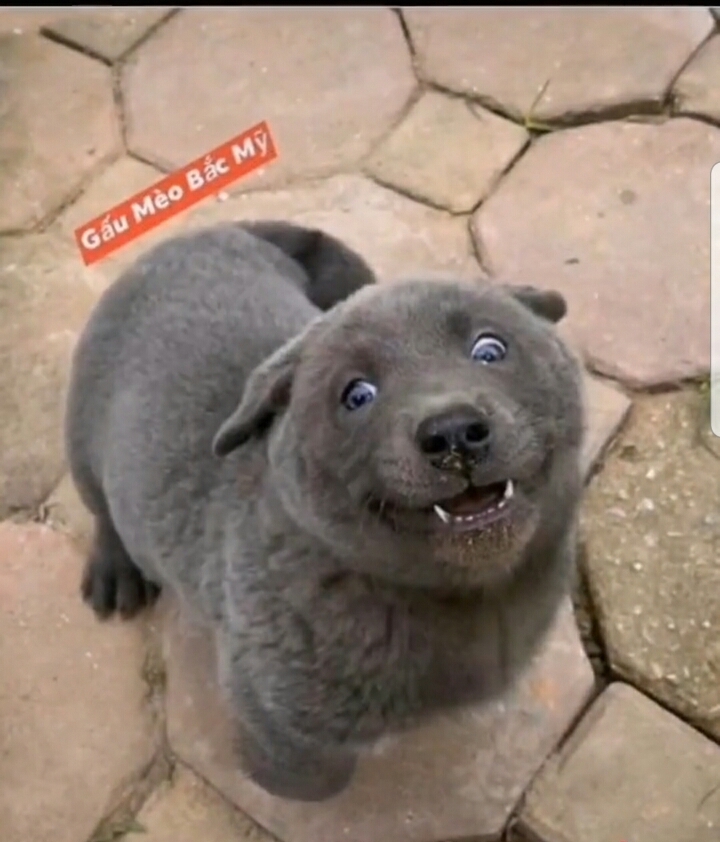 미소 이미지