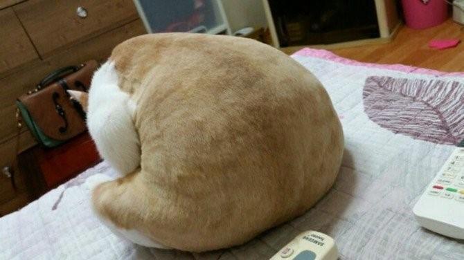 그러하다 이미지