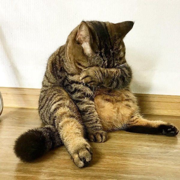 그러하다 이미지
