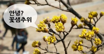 시샘 이미지