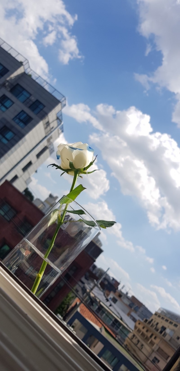 고기밥상 이미지