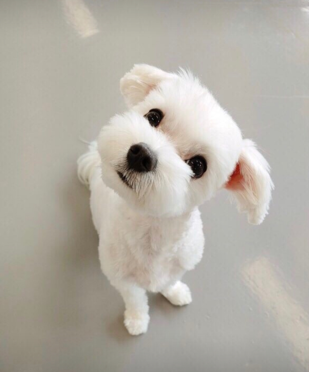 넌 이미지