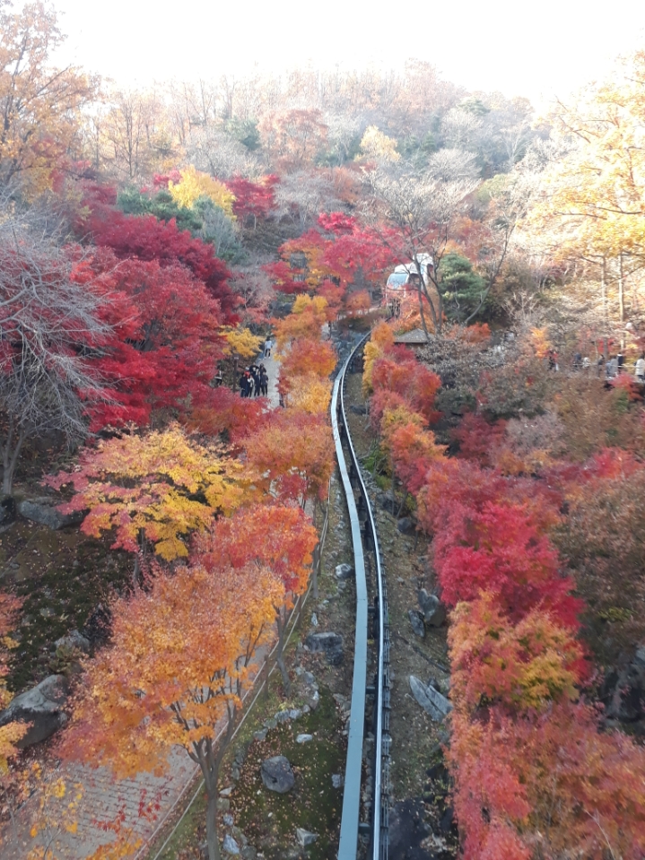 화담국수 이미지