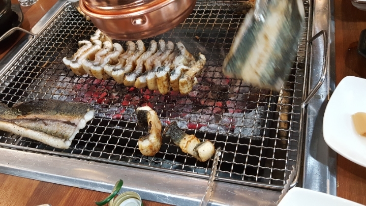 장어세상 이미지