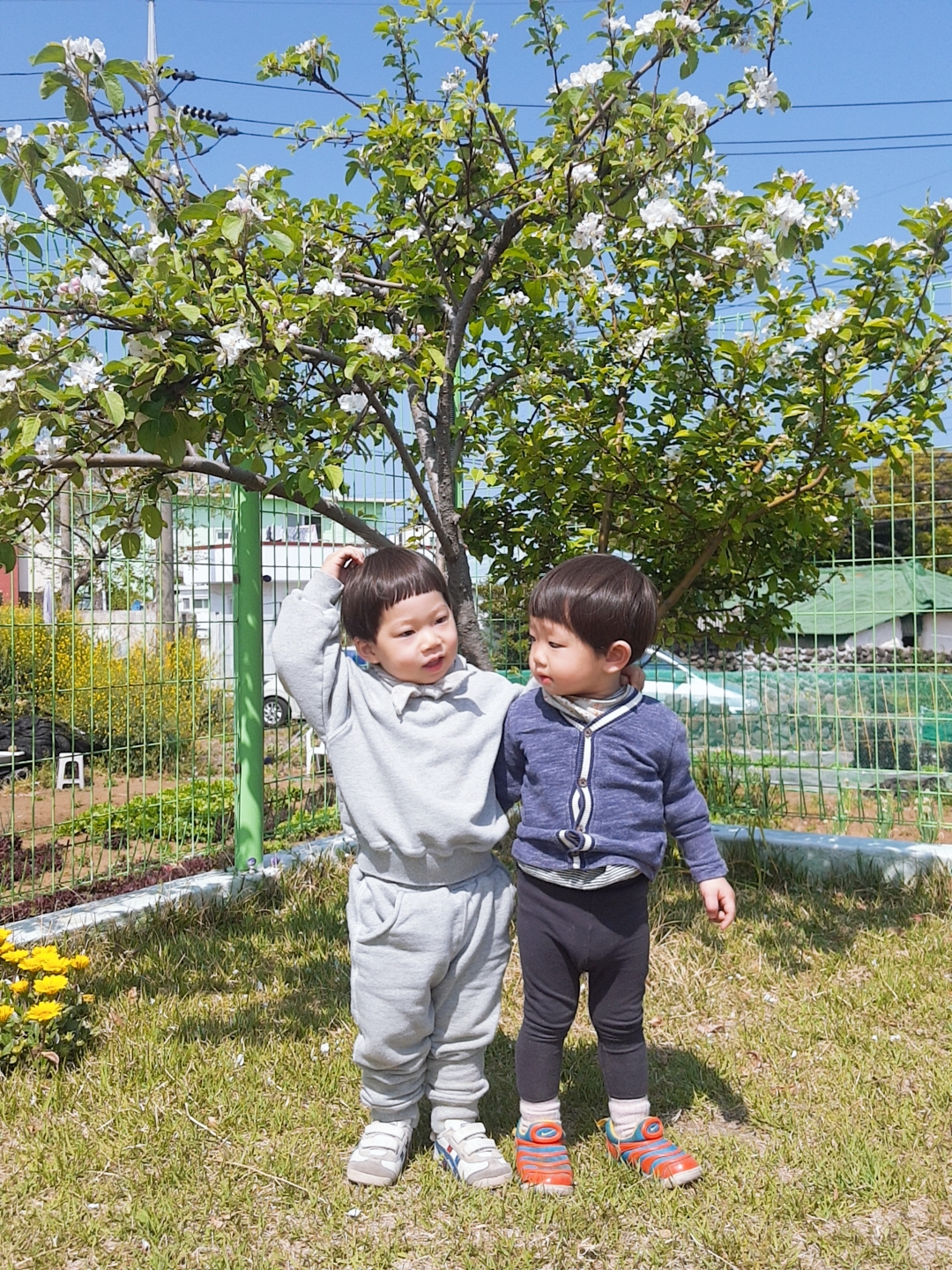 사과나무키즈놀이터 이미지