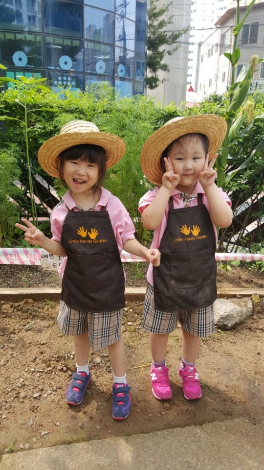 호만브레인유치원 이미지