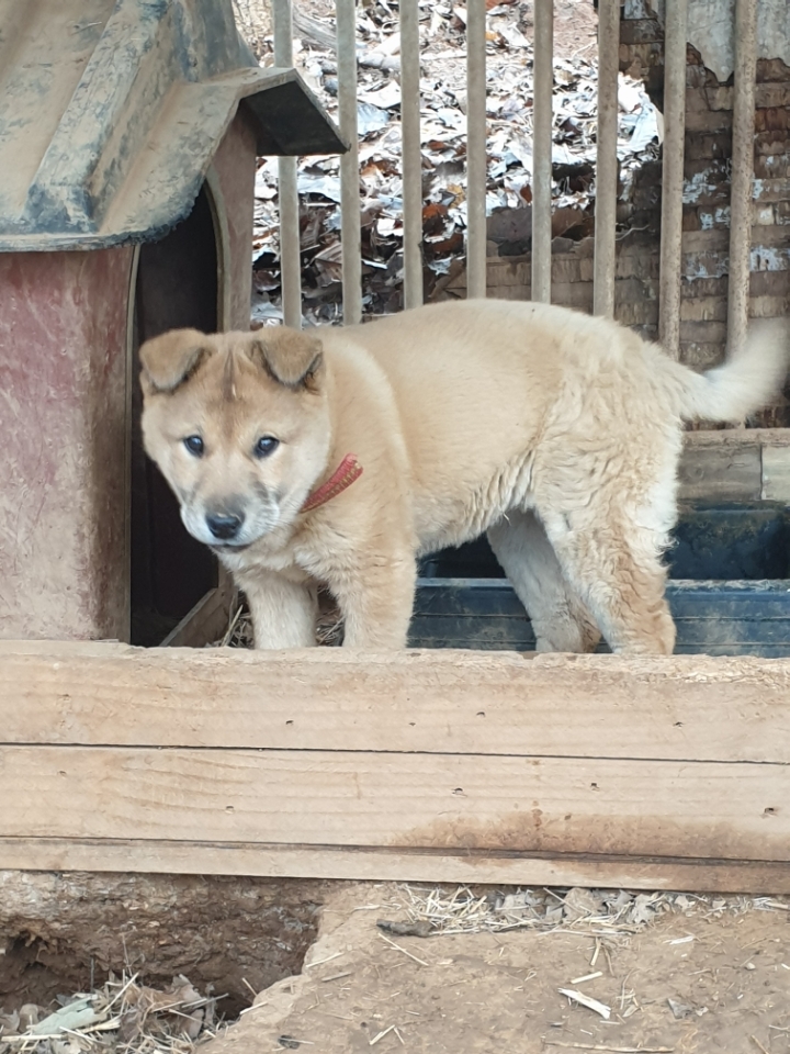 영금 이미지