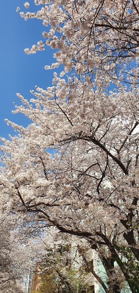 광장직업소개소 이미지