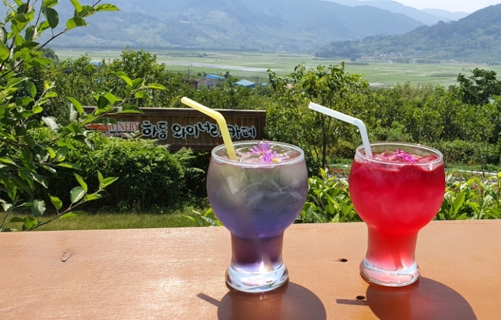 지리산꽃다연 이미지
