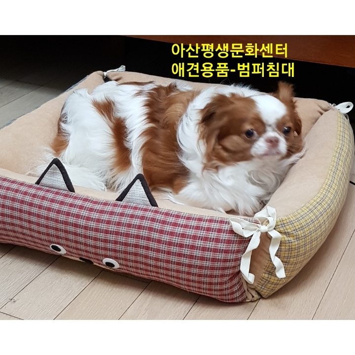 한국수공예문화협회 이미지