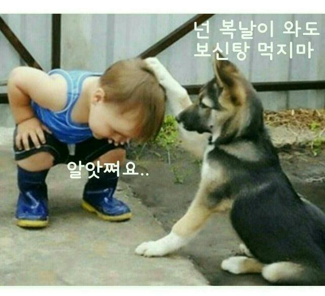 복 이미지