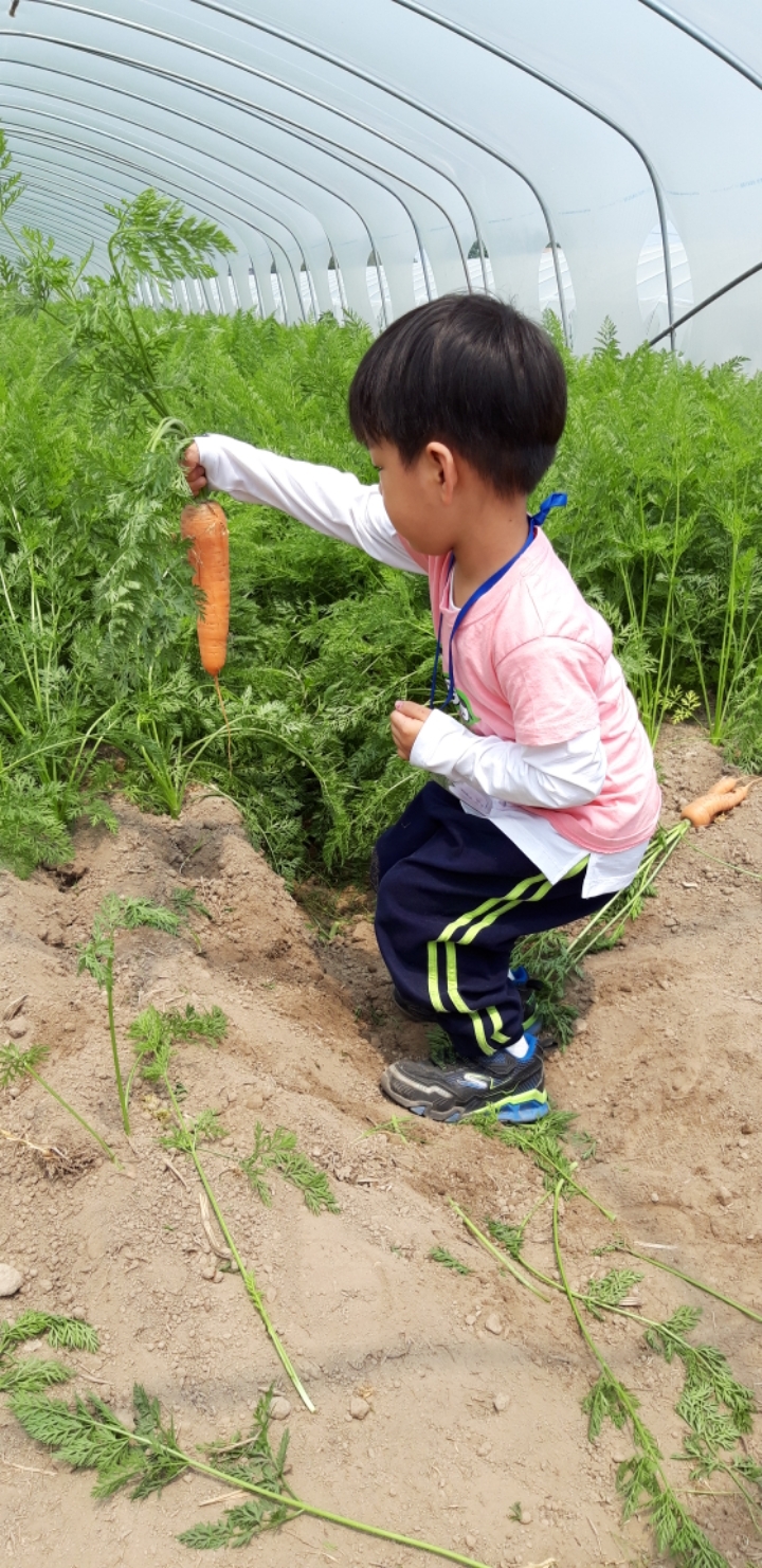 대산미술 이미지