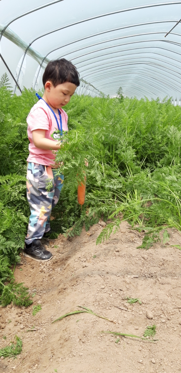 대산미술 이미지