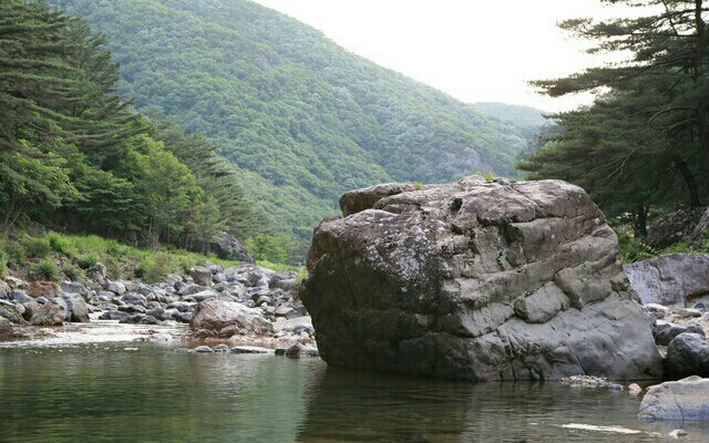 죽도민박 이미지
