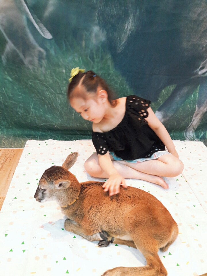 오물오물 이미지