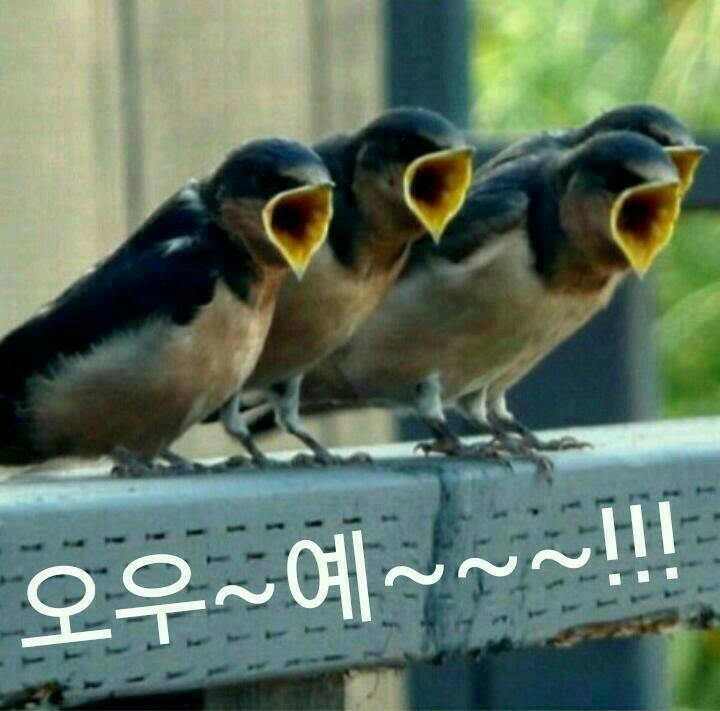 비커피 이미지