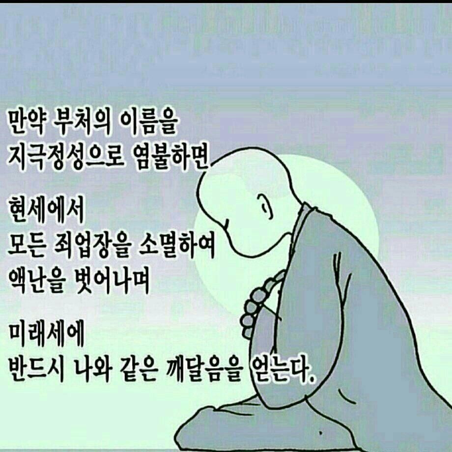 해월 이미지