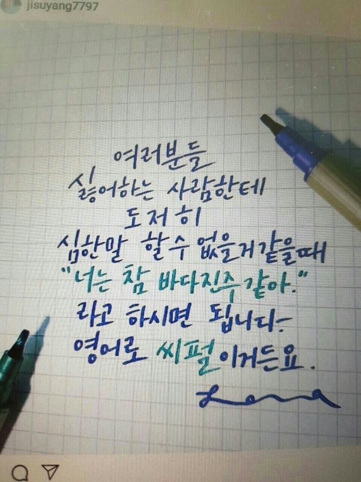콩깍지 이미지
