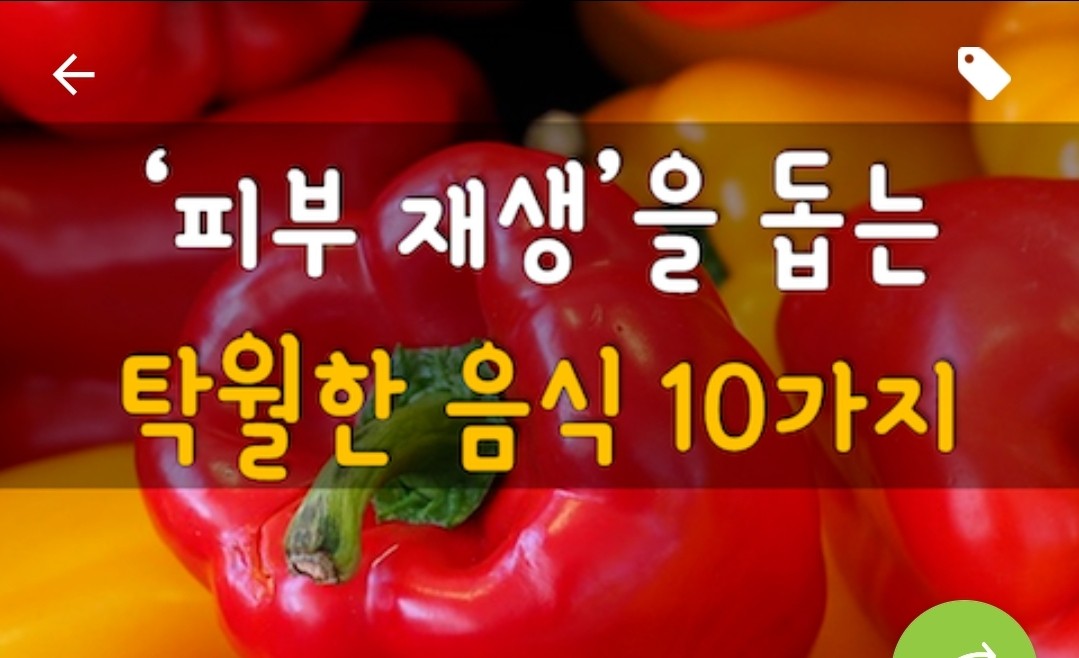 피부살리기 이미지