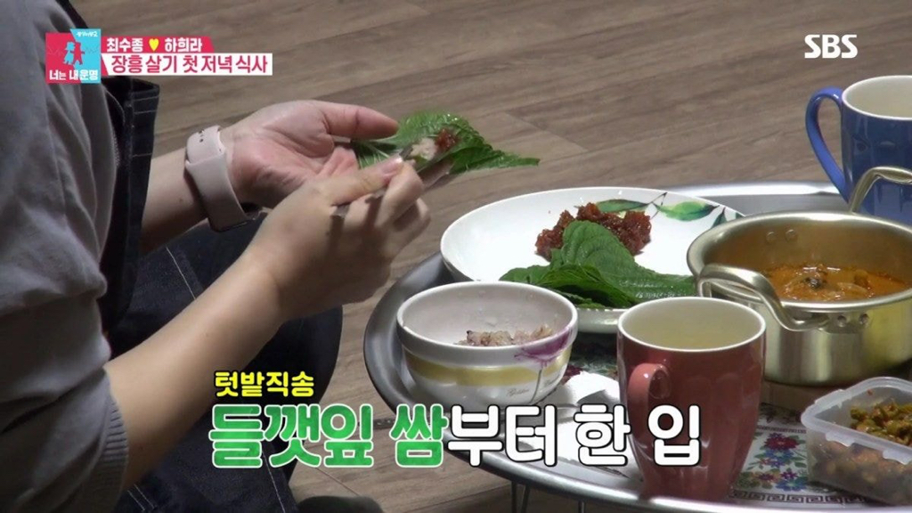 [동상이몽] 사실은 진짜 진짜 서로 다른 최수종과 하희라ㅋㅋㅋ.jpg | 인스티즈