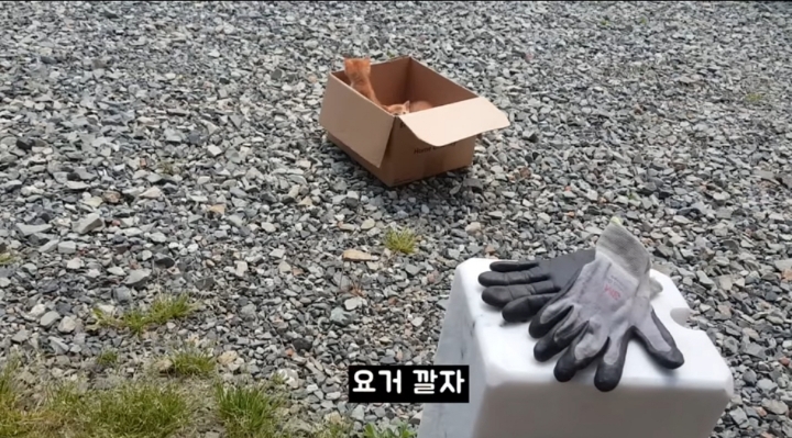 어머냥이 눈치보면서 냥이집 청소하는 아저씨ㅋㅋㅋ.jpg | 인스티즈